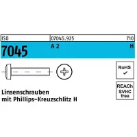 Hörger & Geßler Flachkopfschraube ISO 7045 m.Kreuzschlitz-PH M 5 x 12 -H A 2