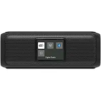 Kärcher DAB Go tragbarer Bluetooth Lautsprecher & Digitalradio DAB+ / UKW Radio mit 2,4" Farbdisplay/ 5 Watt Stereo-Sound