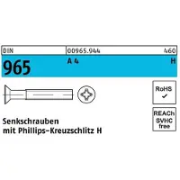 Hörger & Geßler Senkschraube DIN 965 Kreuzschlitz-PH M 10 x 80 -H A 4