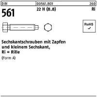 Industrial Quality Supplies Sechskantschraube DIN 561 m.Zapfen AM 10 x 60 22 H (8.8)