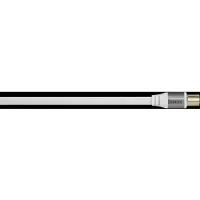 Avinity Koax-Stecker - Koax-Kupplung 5 m