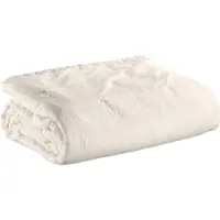 Vivaraise Tika