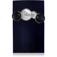 AFNAN Tribute Blue Woda perfumowana, 100 ml