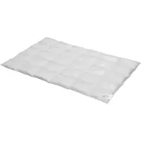 Bettwaren-Shop Daunendecke Exclusiv medium, Füllung: 100% Daunen 135/140x200 cm