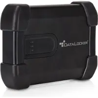 DataLocker IronKey H300 Basic - Festplatte - verschlüsselt - 2 TB - extern (tragbar)