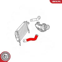 ESEN SKV Gasfeder, Koffer-/Laderaum 52SKV856