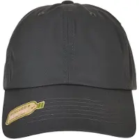 Flexfit Recycled Polyester Dad Cap - 19025