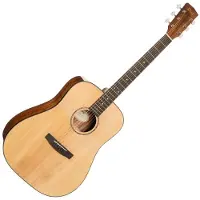 Cort Terra 60