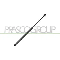 PRASCO Gasfeder, Koffer-/Laderaum DS0119055