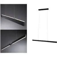 Paulmann LED Pendelleuchte Aptare