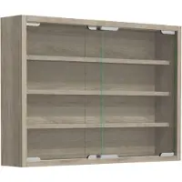 VCM Agisa