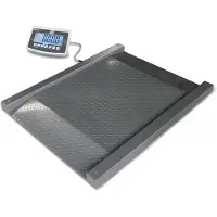 Kern Durchfahrwaage NFB, IP 67, eichfähig, bis 1,5 t, Wägeplatte 1000 x 1000mm