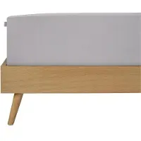 Schiesser Spannbettlaken "Flexi aus 95% Baumwolle und 5% Elastahan in Premium-Qualität", für hohe Matratzen und Boxspringbetten geeignet, Made in Green