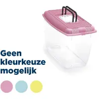 Imac Aquarium Ariel Plastic Assorti