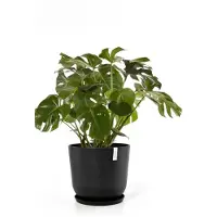 Ecopot's Oslo