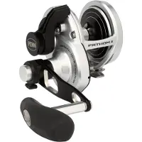 Penn Fathom II 25NLD2 Rolle - Multirolle