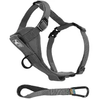 Kurgo Tru-Fit Autosicherheitsgeschirr für Hunde, Größe L, Grau
