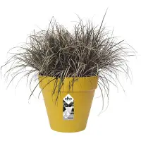 Elho Runde Plastik-Blumentopf 40 cm
