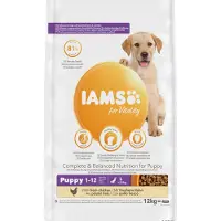 IAMS Advanced Nutrition Puppy Junior Large Breed Chicken 12 kg