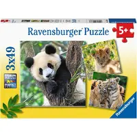 Ravensburger Panda, Tiger und Löwe 05666