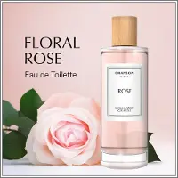 Chanson D''Eau rose edt vapo 0,1 l