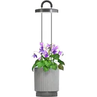 Click & Grow Click and Grow - HydroVase - Grau