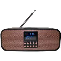 Scansonic PA8001 DAB+ radio with wireless charger - DAB+/FM - schwarz