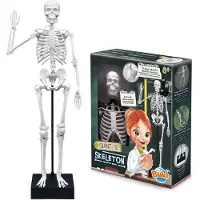 Buki France Buki 2180, Experimentier-Set, Anatomie, 8 Jahr(e), Mehrfarbig