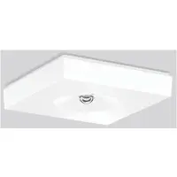 RZB LED-Notleuchte