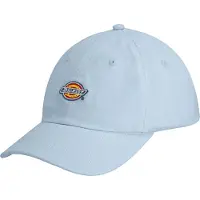 Dickies Hardwick Kappe