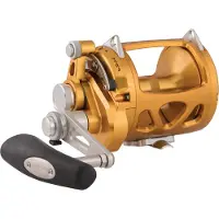 Penn International VISW, 30, Rechtshand, Big Game Angelrolle, Schiebebremse, Gold, 1370779