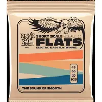Ernie Ball 2801