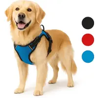 Flamingo Geschirr Balou blau, Größe: XL