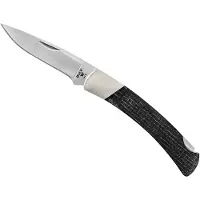 Buck Squire Lockback LE