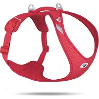 Curli All New Belka Comfort Red 2XL