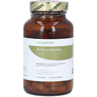 Vitalplant Artischocke 500 mg Extrakt Ka 90 St
