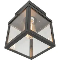 QAZQA Industrielle Outdoor-Deckenleuchte schwarz 1-flammig - Rotterdam