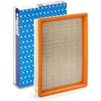 PURFLUX Luftfilter A1350