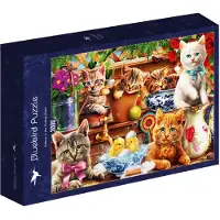 Bluebird Puzzle Puzzlemotiv Kittens in the Potting Shed - 3000 Teile