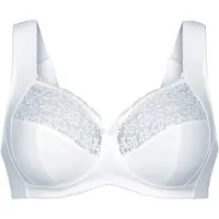Anita Entlastungs-BH "Entlastungs BH Havanna", Damen, Gr. 100, Cup F, beige (crystal), Spitze, Obermaterial: 86% Polyamid PA. 14% Elasthan EL., BHs Entlastungs-BH
