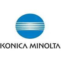 Konica Minolta TNP-79Y Original Gelb 1 Stück(e) (AAJW250)