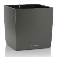 Lechuza 'Cube Premium 50', anthrazit, ca. 49 x 49 x H 49,5 cm