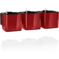 Lechuza Cube Glossy Triple