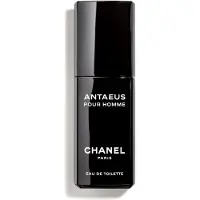 Chanel Antaeus Pour Homme Eau de Toilette 100 ml