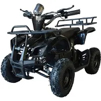 Swoop Elektro Quad Ranger 1000W