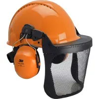 3M Forstschutzhelm
