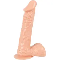 European Lover Naturdildo Realistisch | Mit Eichel, Hoden und Äderung 1 St Vibrator