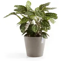 Ecopot's Blumentopf "Amsterdam", ØxH: 50x43,8 cm