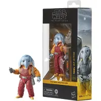 Star Wars The Black Series Neel (At Attin), 4 Jahr(e), Mehrfarbig