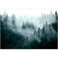 Kärkkäinen Fototapete Grau/Waldgrün ca. 450x315cm
